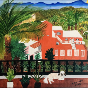 View from Balcony Manzanillo Mexico