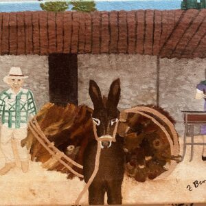 Ranch in Tuxcacuesco, Jalisco